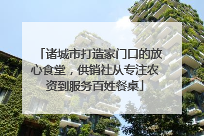 诸城市打造家门口的放心食堂，供销社从专注农资到服务百姓餐桌
