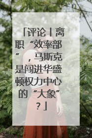 评论丨离职“效率部”，马斯克是闯进华盛顿权力中心的“大象”？