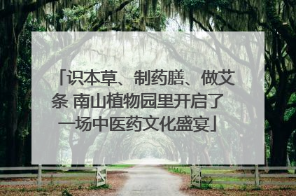 识本草、制药膳、做艾条 南山植物园里开启了一场中医药文化盛宴