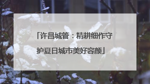 许昌城管：精耕细作守护夏日城市美好容颜