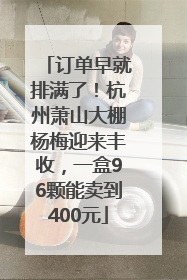 订单早就排满了！杭州萧山大棚杨梅迎来丰收，一盒96颗能卖到400元
