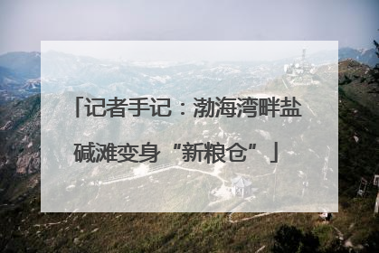 记者手记：渤海湾畔盐碱滩变身“新粮仓”
