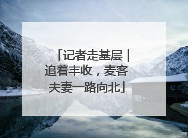 记者走基层｜追着丰收，麦客夫妻一路向北