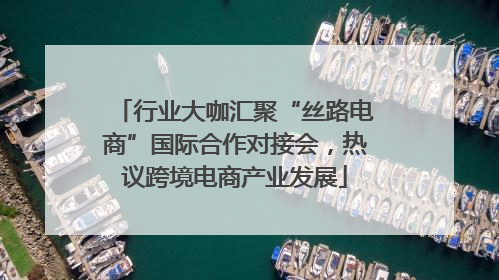 行业大咖汇聚“丝路电商”国际合作对接会，热议跨境电商产业发展