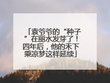 袁爷爷的“种子”在丽水发芽了！四年后，他的禾下乘凉梦这样延续