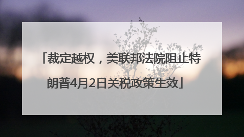 裁定越权，美联邦法院阻止特朗普4月2日关税政策生效