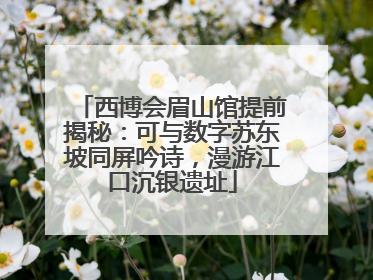 西博会眉山馆提前揭秘：可与数字苏东坡同屏吟诗，漫游江口沉银遗址