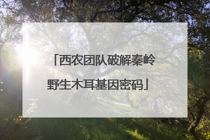 西农团队破解秦岭野生木耳基因密码
