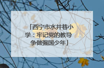 西宁市水井巷小学：牢记党的教导 争做强国少年