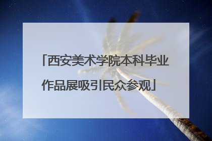 西安美术学院本科毕业作品展吸引民众参观