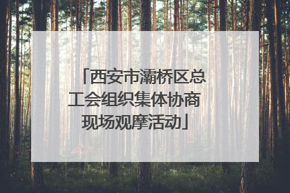 西安市灞桥区总工会组织集体协商现场观摩活动