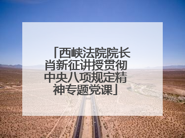 西峡法院院长肖新征讲授贯彻中央八项规定精神专题党课