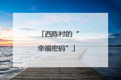 西陈村的“幸福密码”