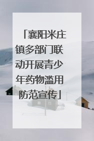 襄阳米庄镇多部门联动开展青少年药物滥用防范宣传