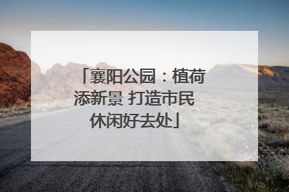 襄阳公园：植荷添新景 打造市民休闲好去处