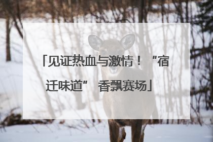 见证热血与激情！“宿迁味道” 香飘赛场
