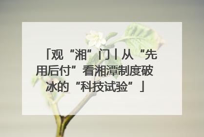 观“湘”门丨从“先用后付”看湘潭制度破冰的“科技试验”
