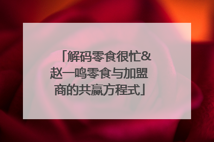 解码零食很忙&赵一鸣零食与加盟商的共赢方程式