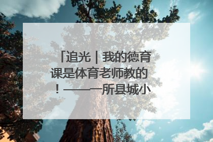追光｜我的德育课是体育老师教的！——一所县城小学的思政课改革