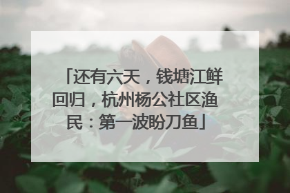 还有六天，钱塘江鲜回归，杭州杨公社区渔民：第一波盼刀鱼