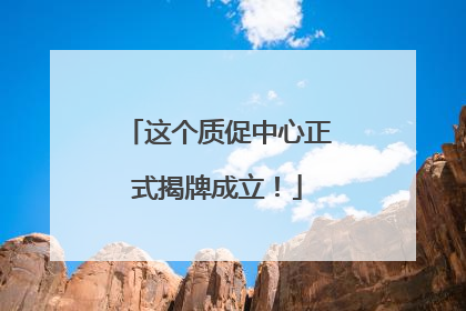 这个质促中心正式揭牌成立！