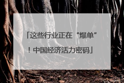 这些行业正在“爆单”！中国经济活力密码