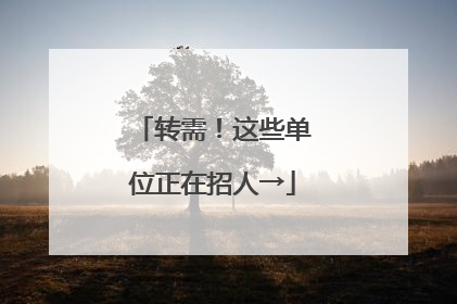 转需！这些单位正在招人→