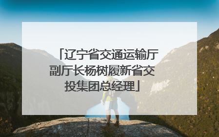 辽宁省交通运输厅副厅长杨树履新省交投集团总经理