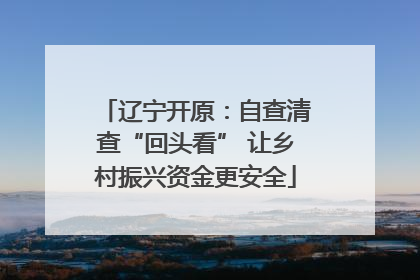 辽宁开原：自查清查“回头看” 让乡村振兴资金更安全