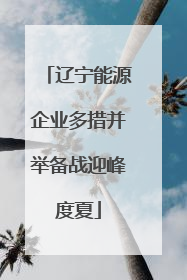 辽宁能源企业多措并举备战迎峰度夏