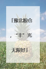 豫北粮仓，“丰”光无限好