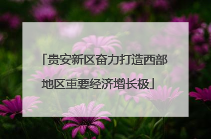贵安新区奋力打造西部地区重要经济增长极