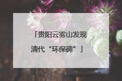 贵阳云雾山发现清代“环保碑”
