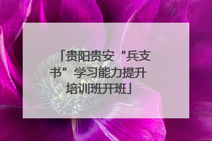 贵阳贵安“兵支书”学习能力提升培训班开班