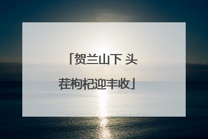 贺兰山下 头茬枸杞迎丰收