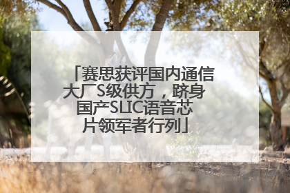 赛思获评国内通信大厂S级供方，跻身国产SLIC语音芯片领军者行列
