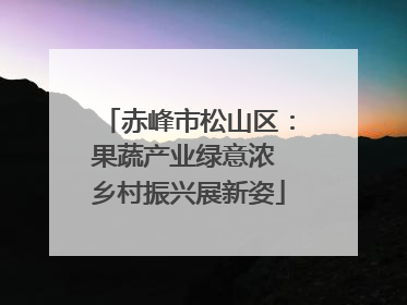 赤峰市松山区：果蔬产业绿意浓 乡村振兴展新姿