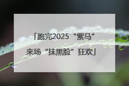 跑完2025“紫马” 来场“抹黑脸”狂欢