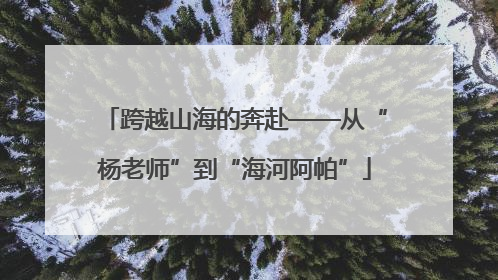 跨越山海的奔赴——从“杨老师”到“海河阿帕”
