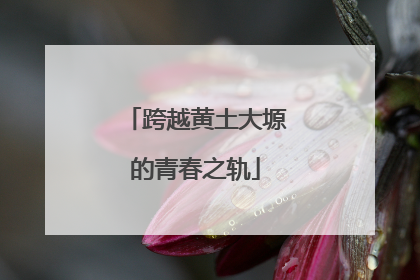 跨越黄土大塬的青春之轨