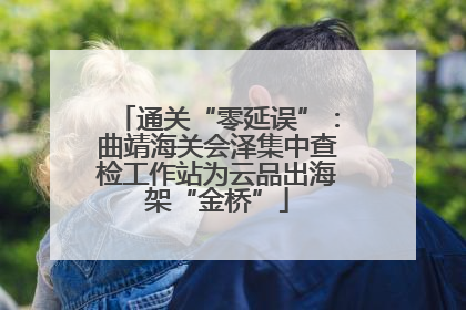 通关“零延误”：曲靖海关会泽集中查检工作站为云品出海架“金桥”
