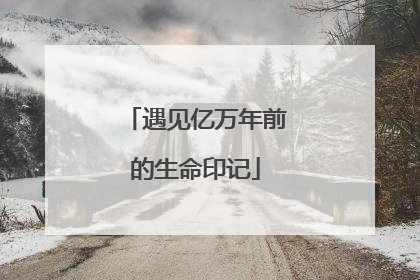 遇见亿万年前的生命印记