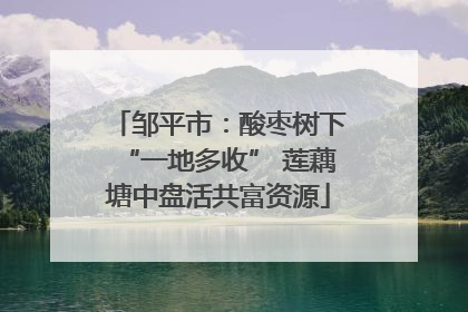 邹平市：酸枣树下“一地多收” 莲藕塘中盘活共富资源