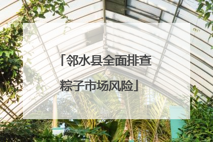 邻水县全面排查粽子市场风险