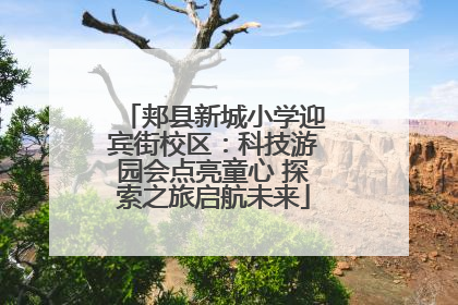 郏县新城小学迎宾街校区：科技游园会点亮童心 探索之旅启航未来
