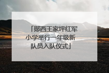 郧西王家坪红军小学举行一年级新队员入队仪式