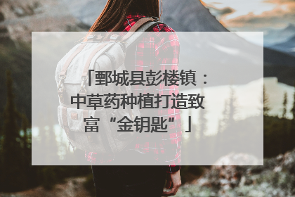 鄄城县彭楼镇：中草药种植打造致富“金钥匙”