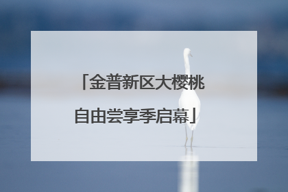 金普新区大樱桃自由尝享季启幕