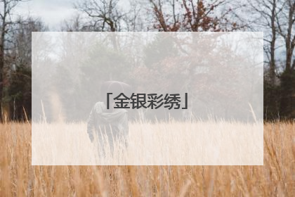 金银彩绣