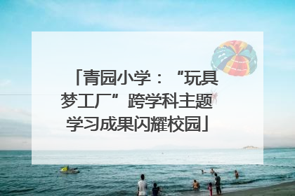 青园小学：“玩具梦工厂”跨学科主题学习成果闪耀校园